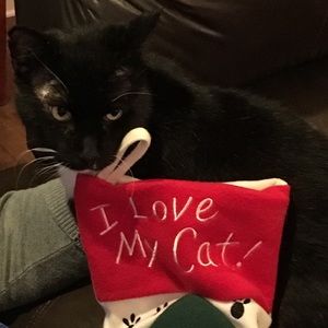 Meet your Posher, Gwen